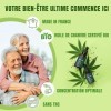 ARTISAM | Meilleur Huile de Graines de Chanvre Sativa PURE H 40% 4000mg Pressée à Froid 10 ml | Bio | Formule Premium Made in