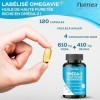Omega 3 - Huile de poissons sauvages - Fish Oil - Musculation - Articulations - Booster de mémoire puissant - Riche en acides