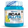 BCAA Poudre - BCAA GLUTA - 500 g - Bcaa Glutamine - L Glutamine - BCAA - BCAA 2.1.1 - BCAA en poudre, Acide aminé, amino acid