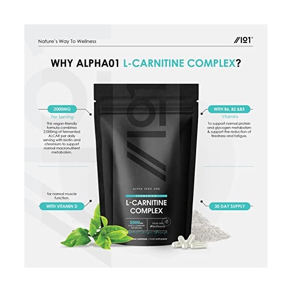 L-Carnitine 2000mg Complex with BioPerine® - Energy & Metabolism Support - Boosted with Vitamin D3, B2, B3, B6, Biotin & Chro
