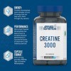 Applied Nutrition – Créatine 3000 – Gélules de Créatine Monohydratée 3000 mg/Portion – Complément Alimentaire Puissant Amél