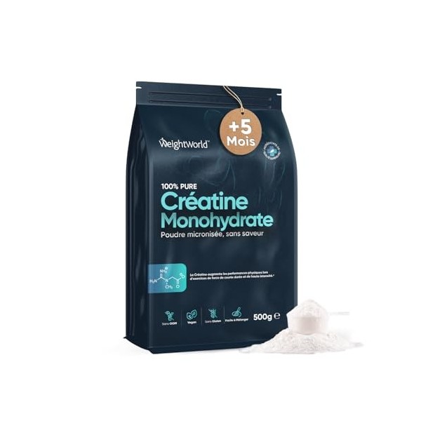 Créatine Monohydrate en Poudre 500g - Créatine Monohydrate Micronisée 165 Portions