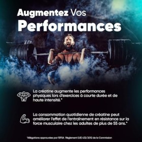 Créatine Monohydrate en Poudre 500g - Créatine Monohydrate Micronisée 165 Portions