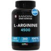 Bandini® L-Arginine 360 gélules véganes - 4500 mg de poudre dArginine pure HCL par dose journalière - Hautement dosé - Fabri