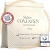 Collagène Shine Premium - Peptides de Collagène Pur 100% Type 1, 2, 3 Poudre Hydrolysée Hautement Soluble Sans Goût Anti-âge 