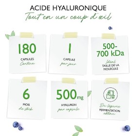 Acide Hyaluronique Végétalien - 500 mg dacide hyaluronique - 180 gélules pour 6 mois - 500-700 kDa - Végétal Fermenté Haute 