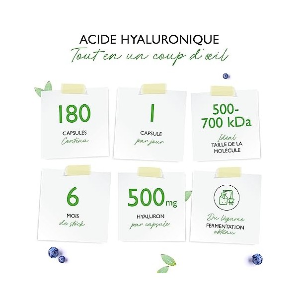 Acide Hyaluronique Végétalien - 500 mg dacide hyaluronique - 180 gélules pour 6 mois - 500-700 kDa - Végétal Fermenté Haute 