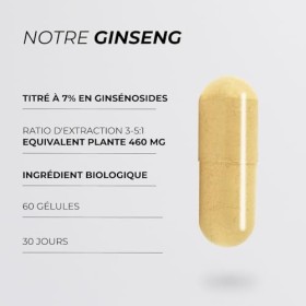 Panax Ginseng Blanc Asiatique - CUURE - Actif Breveté Ginselect® - 60 gélules -Titré à 7% en Ginsénosides - Fonction Cognitiv