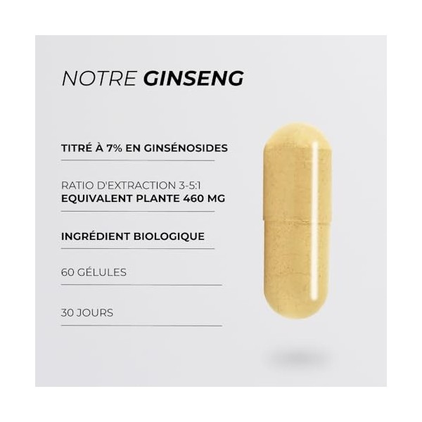 Panax Ginseng Blanc Asiatique - CUURE - Actif Breveté Ginselect® - 60 gélules -Titré à 7% en Ginsénosides - Fonction Cognitiv