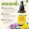 Leber Detox Chardon-Marie et pissenlit – 50 ml – Détoxifiant et dégradant sur le foie, la gelée, le système digestif – 100 % 