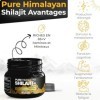 Shilajit, shilajit Pure and Natural, Shilajit himalaya bio pour hommes et femmes, Résine de Authentique, Riche en Acide Fulvi
