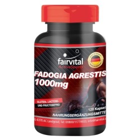 Fairvital | Fadogia Agrestis 1000mg - 120 gélules - pour lhomme actif - Active Sports - qualité contrôlée et hautement dosée