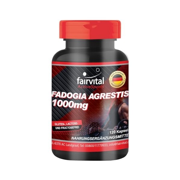 Fairvital | Fadogia Agrestis 1000mg - 120 gélules - pour lhomme actif - Active Sports - qualité contrôlée et hautement dosée