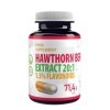 Baie daubépine Hawthorn Berry 5,000mg équivalent 500mg dextrait 10:1 120 gélules végétaliennes, 1,5% de flavonoïdes, te