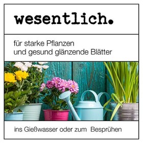 Huile Essentielle de néon avec émulsifiant 5000 ML – Prêt à être mélangé pour Une Utilisation immédiate
