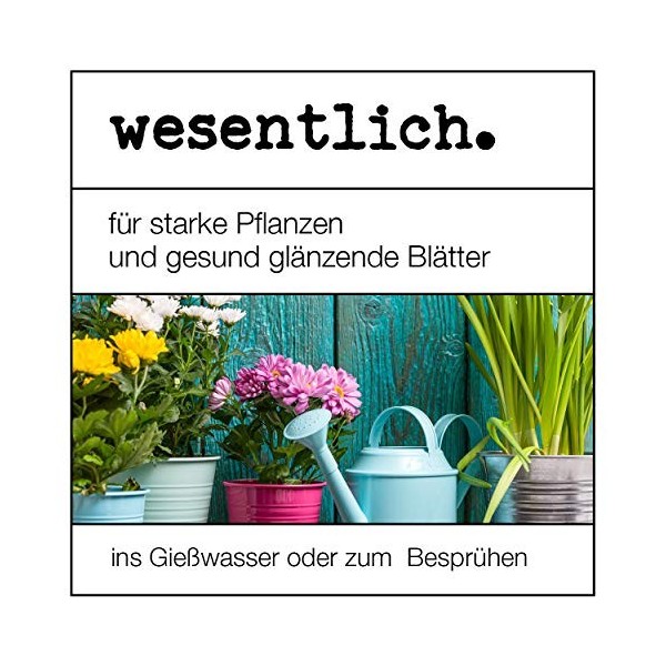 Huile Essentielle de néon avec émulsifiant 5000 ML – Prêt à être mélangé pour Une Utilisation immédiate