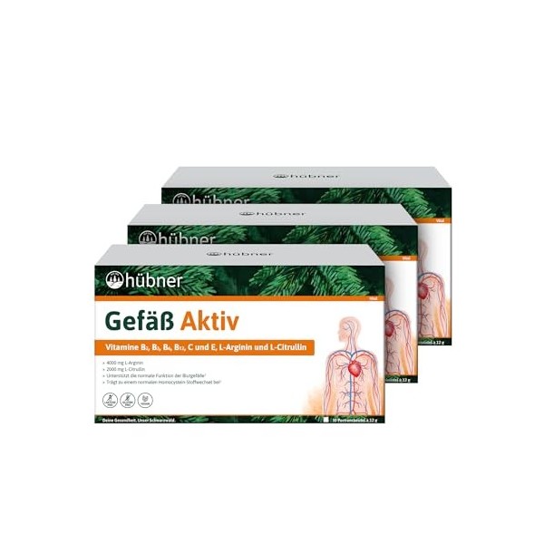 hübner - Gefäß-Aktiv® - Poudre - 3 x 360 g -