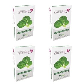 Granatum Plus - Extrait dÉpinard - 20-Hydroxyecdysone - Complément Alimentaire - Bien-être Métabolique - Performance Sportiv