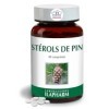 STEROLS DE PIN - CHOLESTEROL -Laboratoires Ilapharm - 60 Comprimés