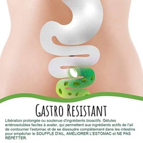 AIL 125,000 mg extrait 500:1 | 200 gélules | Pas de Reflux | SANS ODEUR | à lhuile dolive vierge | Haute concentration | 