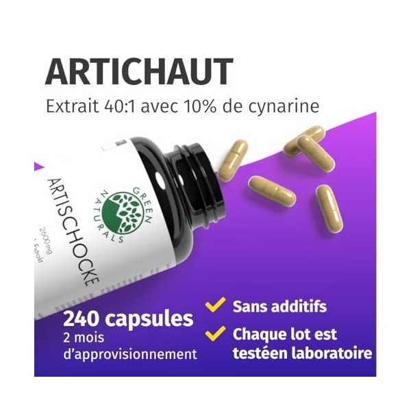 Artichaut - 2600 mg par jour dont 260 mg de cynarine - Extrait puissant 40:1 équivalent à 104 000 mg dartichaut frais - 