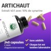 Artichaut - 2600 mg par jour dont 260 mg de cynarine - Extrait puissant 40:1 équivalent à 104 000 mg dartichaut frais - 