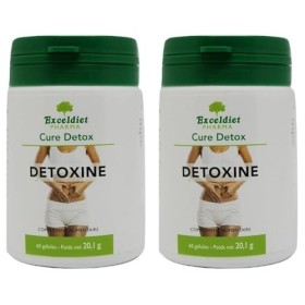 Cure DETOX Aloes Vera | Artichaut | Radis Noir | Désintoxication du Côlon et du Foie | Élimination Naturelle des Toxines | Fa