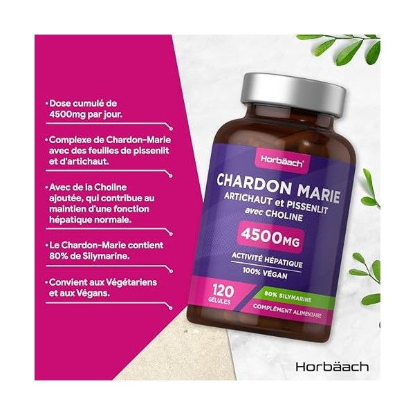 Chardon Marie Gelules 4500mg | 80% Silymarine | 120 Gélules | Complexe Chardon Marie, Pissenlit et Artichaut | Complément Ali