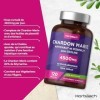 Chardon Marie Gelules 4500mg | 80% Silymarine | 120 Gélules | Complexe Chardon Marie, Pissenlit et Artichaut | Complément Ali