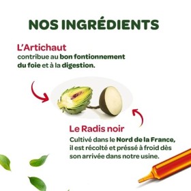 SUPERDIET- RADIS NOIR, ARTICHAUT BIO - Digestion facile & Transit naturel - Format nomade & éco - 30 Unidoses de 15 ml