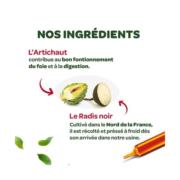 SUPERDIET- RADIS NOIR, ARTICHAUT BIO - Digestion facile & Transit naturel - Format nomade & éco - 30 Unidoses de 15 ml
