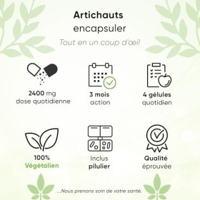 Extrait dartichaut | 365 gélules | Extrait 30:1 -72.000 mg dartichaut | 5% cynarine 120 mg | 2400 mg portion journalièr