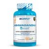 Ashwagandha Sensoril® avec plus de 10% de withanolides - Ashwagandha Gelules - Avec Vitamine B3 et Vitamine B5-250 mg par cap