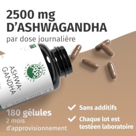 Ashwagandha - Hautement dosé: 2500 mg - 127 mg de Withanolide - 180 gélules - 2 mois de stock - 100% végétalien et sans addit