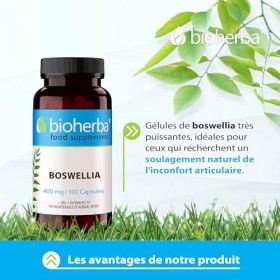 Boswellia Serrata - Gelules - Complément pour le soin des articulations - 400 mg 100 capsules par BIOHERBA