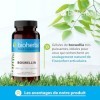 Boswellia Serrata - Gelules - Complément pour le soin des articulations - 400 mg 100 capsules par BIOHERBA