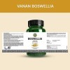 Compléments alimentaires ayurvédiques Vanan Boswellia 60 capsules | Formule ayurvédique pour des os solides et des articula