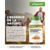 Extrait dencens - 365 gélules - Premium : 85% dacide boswellia - Fortement dosé avec 1000 mg par dose quotidienne - Boswell