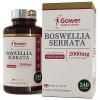 GH Boswellia Serrata Gelule | 240 Boswellia Haute Teneur Gélule - 5:1 Extract 2000mg Boswellia par Portion | Sans OGM Sans Gl