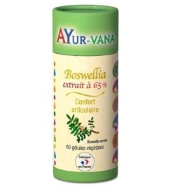 AYur-vana Boswellia E.S 65% 120 Gélules