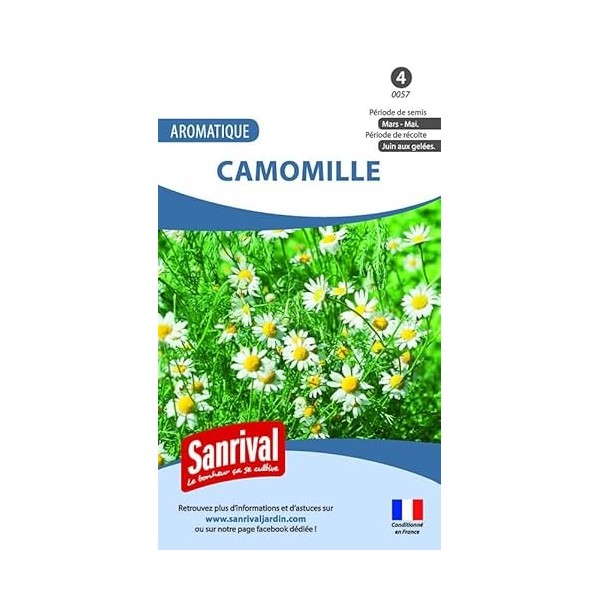 Camomille