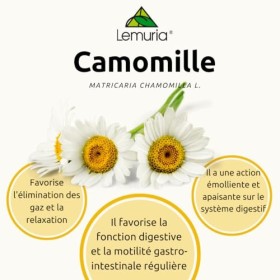 Lemuria - Camomille E.T. Extrait Total - Utile pour la fonction digestive - Complément alimentaire à base de plantes et dériv
