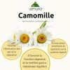 Lemuria - Camomille E.T. Extrait Total - Utile pour la fonction digestive - Complément alimentaire à base de plantes et dériv