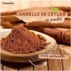 Nortembio Cannelle de Ceylan Biologique en Poudre 250 g. Origine 100% Naturel. Cannelle Moulue sans Additifs ni Conservateurs
