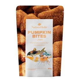 NatureHolic - Bites à la Citrouille et à la Cannelle - 30g