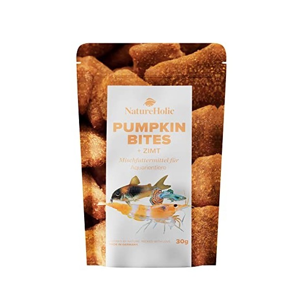 NatureHolic - Bites à la Citrouille et à la Cannelle - 30g
