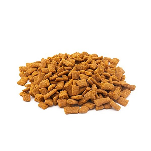 NatureHolic - Bites à la Citrouille et à la Cannelle - 30g