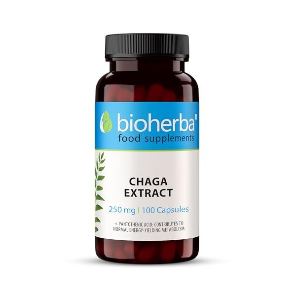 Chaga Gélules par BIOHERBA - 250 mg - 300 Gélules - Extrait Pur de Champignon Chaga pour le Soutien Immunitaire et la Vitalit