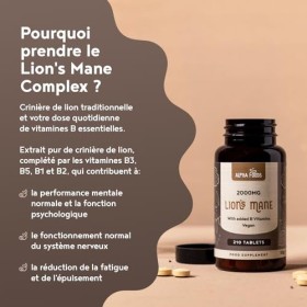 Criniere de Lion 2000 mg | 210 Comprimés Végan de Lions Mane Mushroom | Haute Concentration Dextrait 12:1 | Hericium Erinace