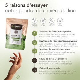 Poudre de champignon hydne hérisson - Complément ultra-concentré - Renforce la clarté mentale, la concentration et la mémoire